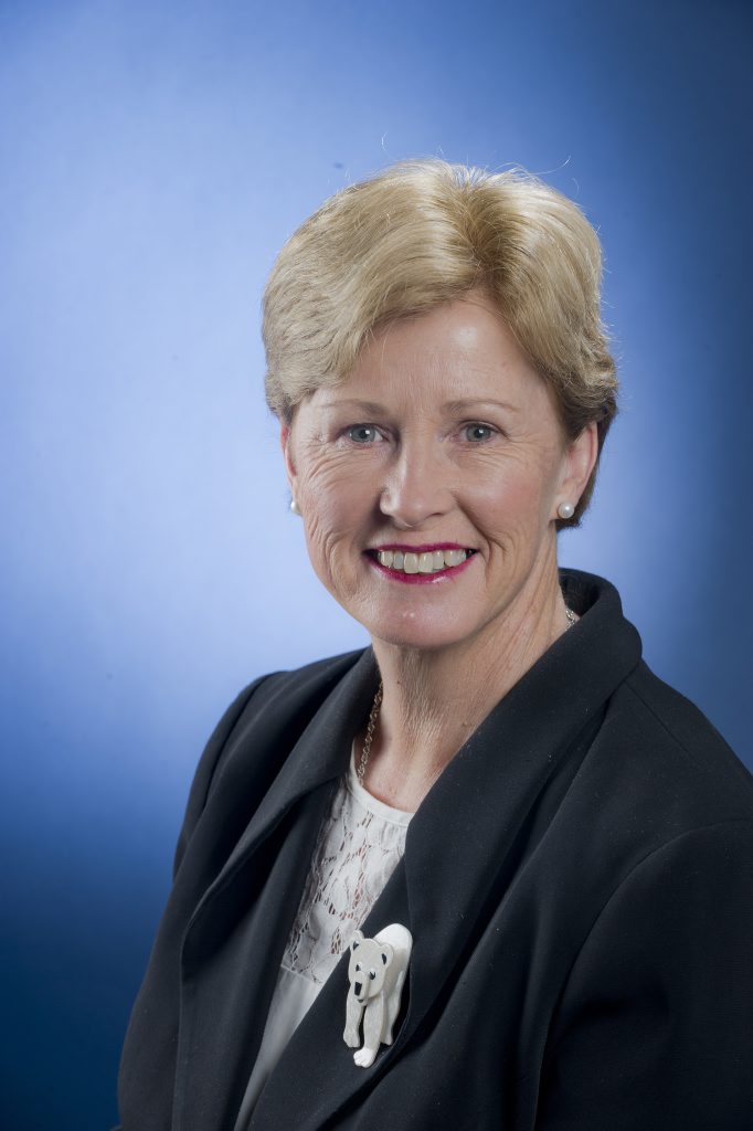 Australian Greens Leader Christine Milne. Australian Greens Leader Christine Milne.